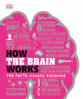 How the Brain Works The Facts Visually Explained.pdf